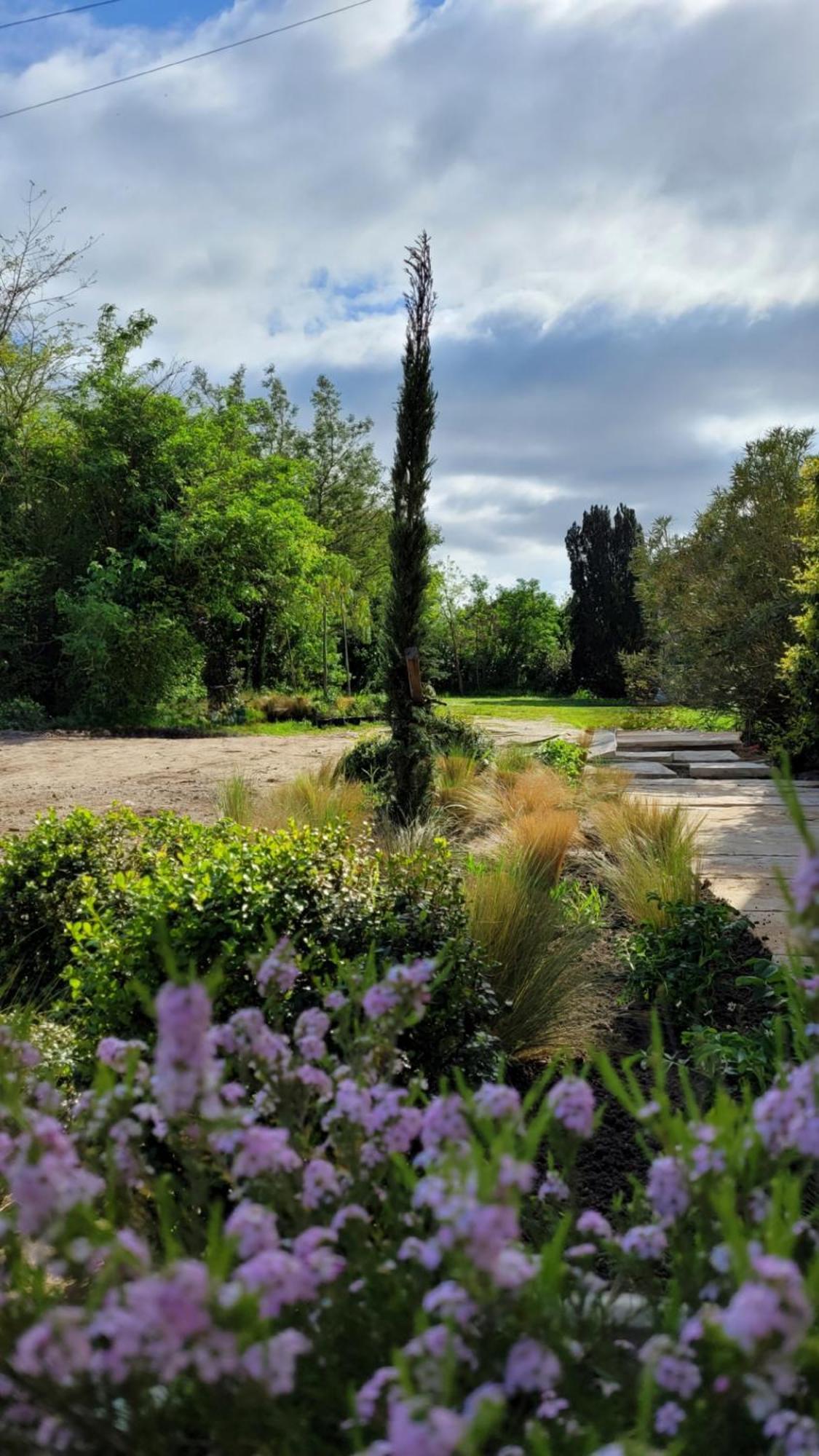 Chateau Bernon Maison D Hotes - Piscine Et Spa Queyrac エクステリア 写真